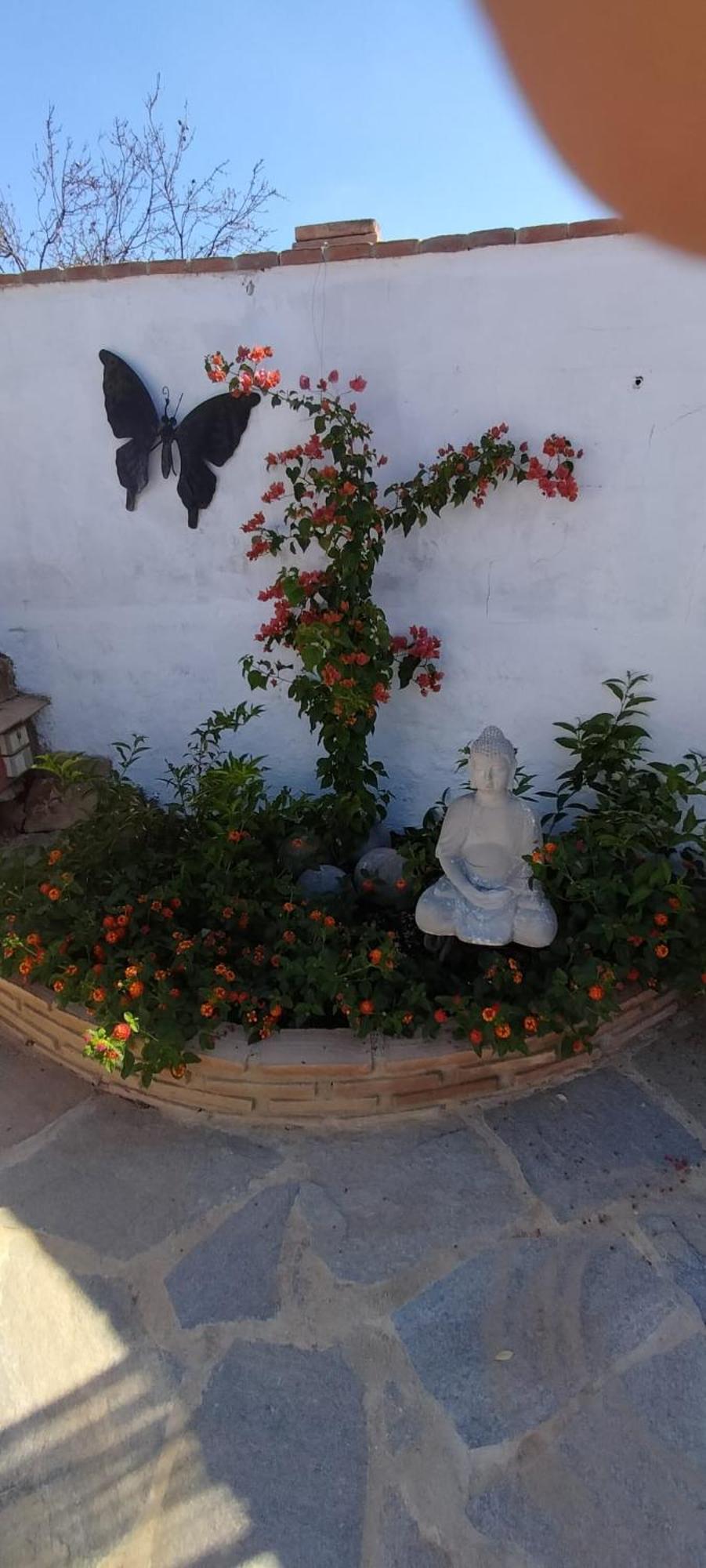 埃尔乔罗Casa Ceratonia住宿加早餐旅馆 外观 照片